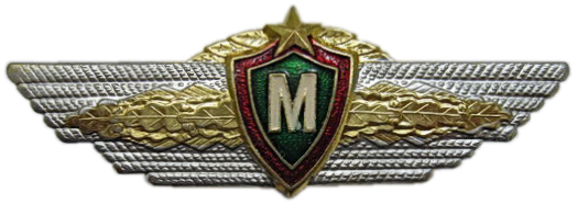 Нагрудный квалификационный знак отличия « Специалист-мастер » Вооруженных Сил Республики Беларусь