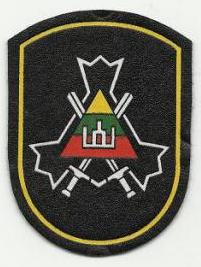 National Defence Voluntary Force, National Guard