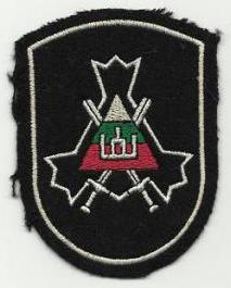 National Defence Voluntary Force, National Guard