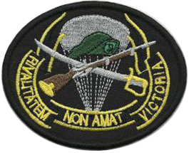 Нарукавный знак егерьского батальона 