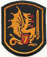 type 2 of patch for parade dress uniform