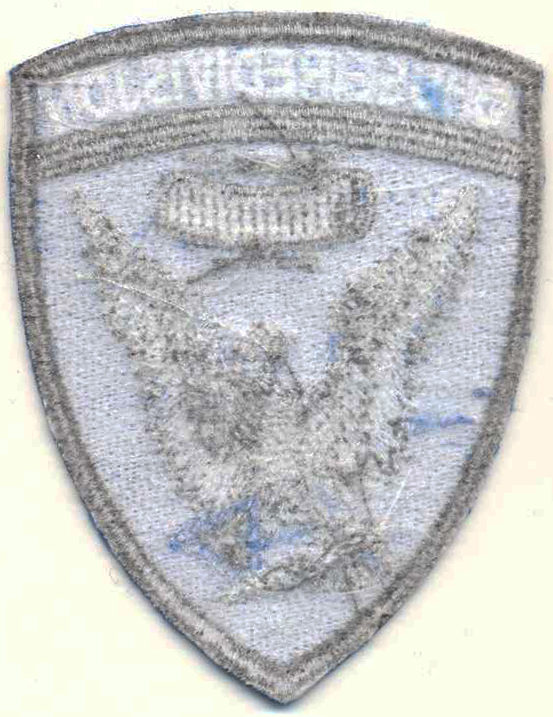 Нарукавный знак противовоздушной обороны ВВС Эстонии