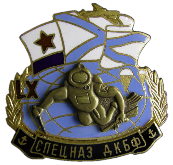 Нагрудный знак Спецназа ДК Балтийского Флота ВМФ России
