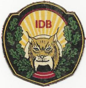 Нарукавный знак Разведывательного Десантного батальона IDB Вооруженных Сил Латвии