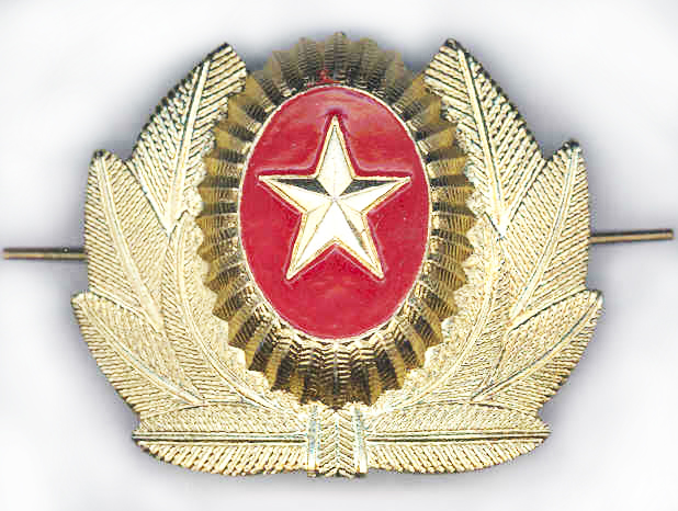 Металлическая кокарда офицеров Вооруженных Сил Кыргызстана