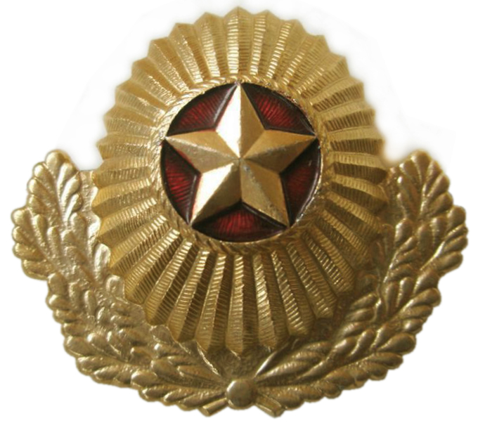 Кокарда Вооруженных Сил Республики Беларусь