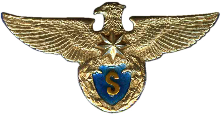 Квалификационный нагрудный знак лётного состава ВВС Молдовы