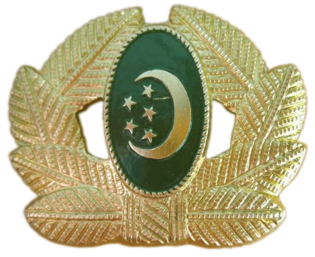 Кокарда старшин, сержантов, солдат и курсантов ВС Туркменистана