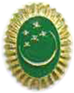 Офицерская кокарда ВС Туркменистана