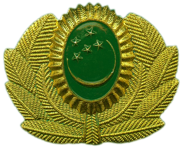 Кокарда Вооруженных Сил Туркменистана #1