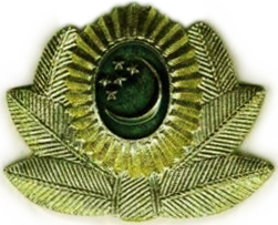 Кокарда Вооруженных Сил Туркменистана #2