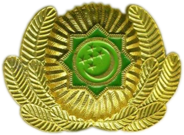 Кокарда Вооруженных Сил Туркменистана #6