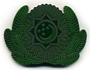 Кокарда полевая Вооруженных Сил Туркменистана #8
