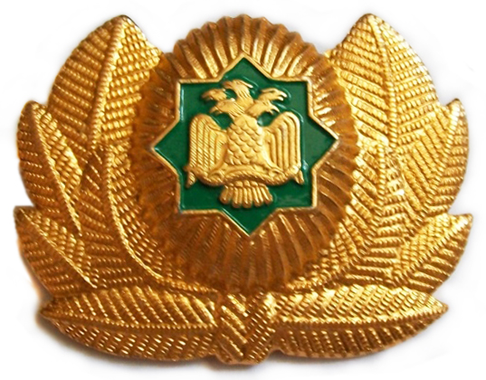 Кокарда Вооруженных Сил Туркменистана #9