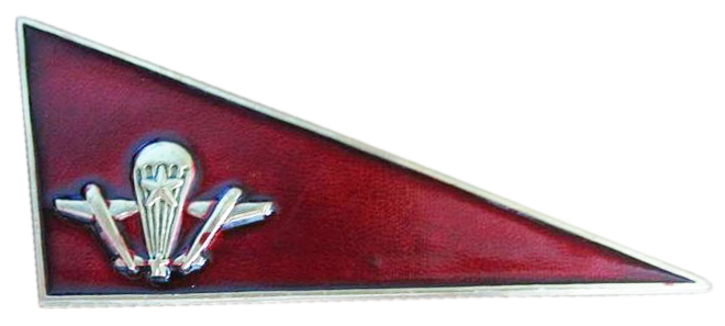 Знак на берет Воздушно-Десантных Войск Российской Федерации #1