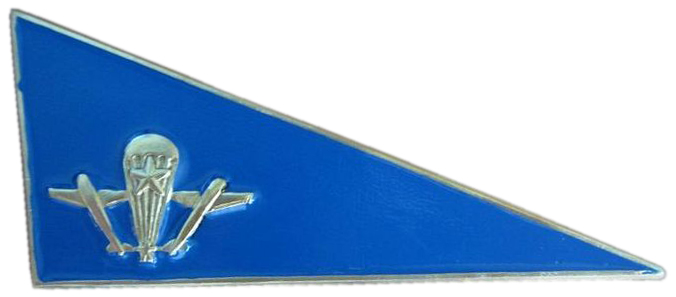 Знак (флажок) на берет Воздушно-Десантных Войск Российской Федерации #2