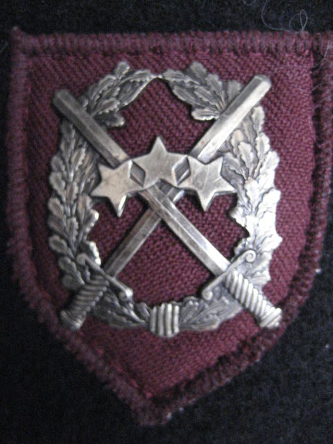 National Armed Forces National Guard berets cockade /Latvian National Armed Forces/