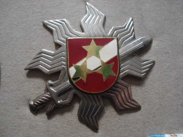 Defence force (1991-1994) breast badge /Latvian Defence Forces 1991-1994/