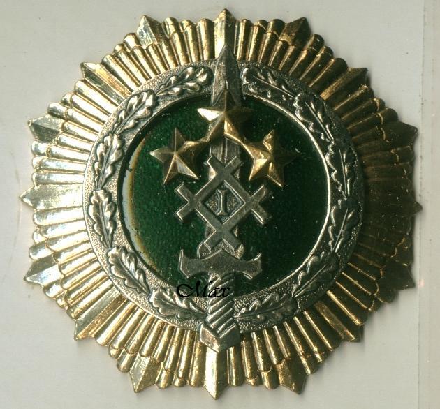 Нагрудный знак 1 пехотной бригады ВС Латвии