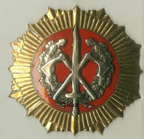 Нагрудный знак 2 пехотной бригады ВС Латвии