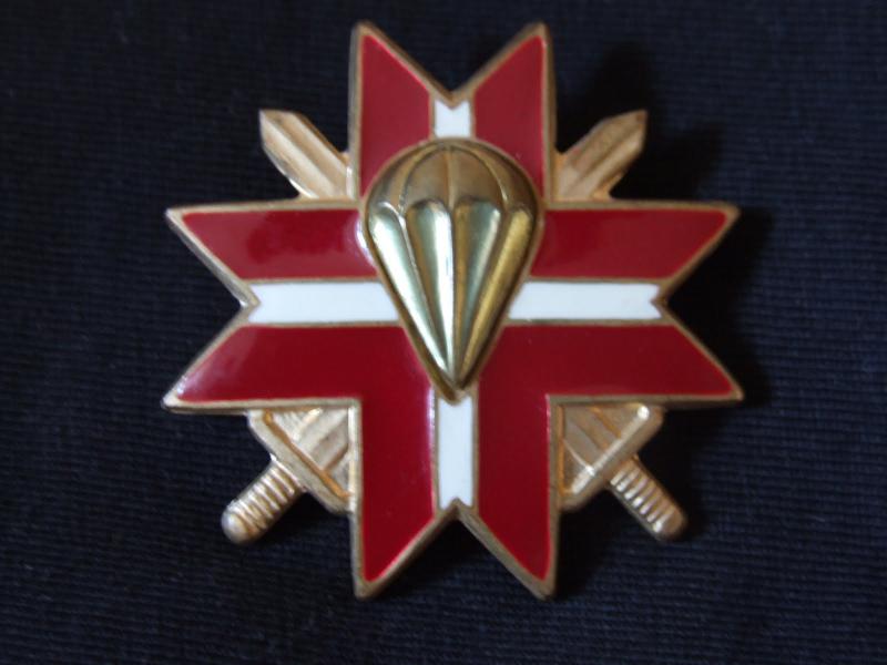 Airborne-Reconnaissance battalion (1992-1998) soldiers breast badge - 