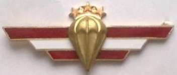 Airborne-Reconnaissance battalion (1992-1998) paratrooper qualification badge - golden /Latvian National Armed Forces/