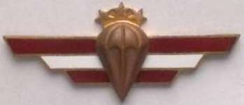 Airborne-Reconnaissance battalion (1992-1998) paratrooper qualification badge - bronze /Latvian National Armed Forces/