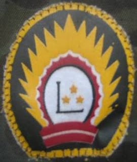 National Guard patche /Latvian National Armed Forces/