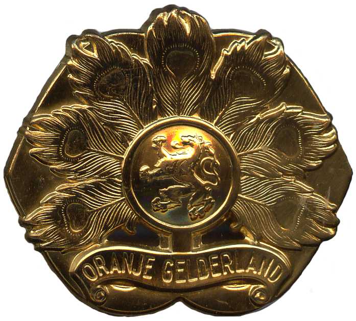 Беретный знак пехотного полка 