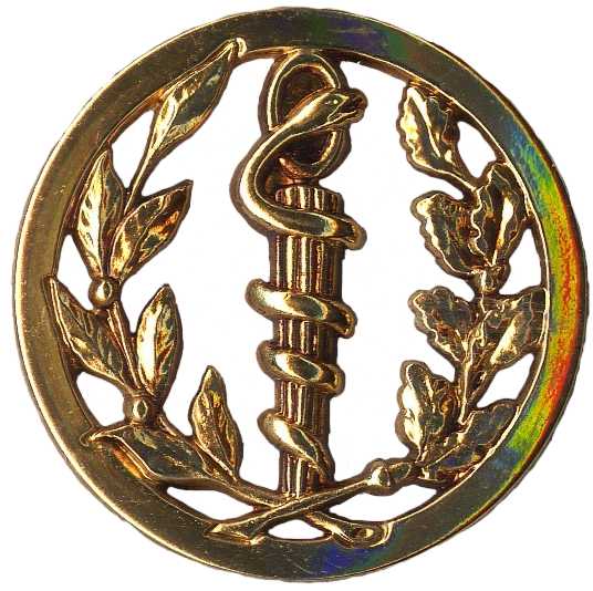 Medical Service Metal Beret Badge of French Army