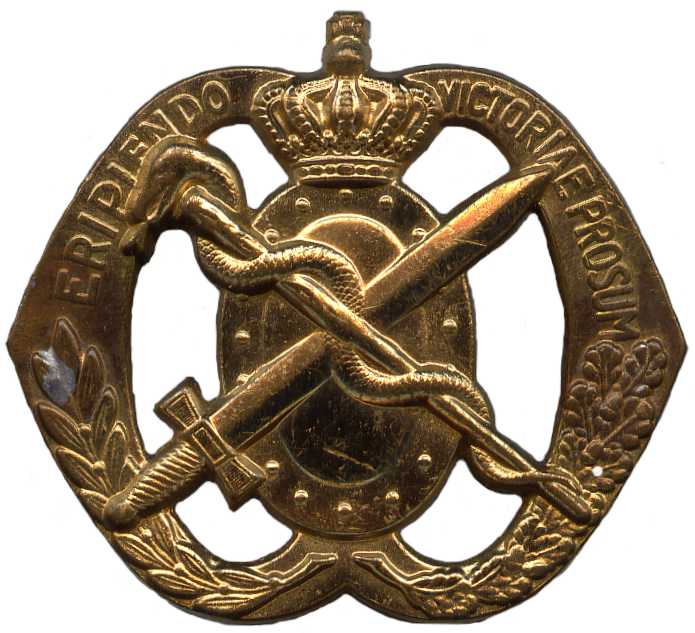 Беретный знак медицинской службы Королевских сухопутных сил Нидерландов