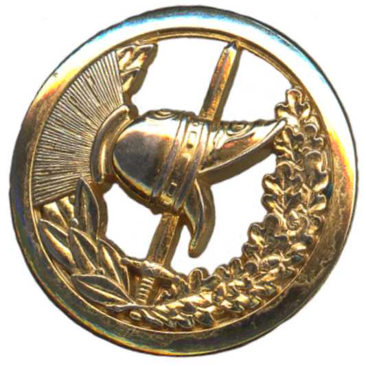 Эмблема на берет офицерского корпуса специалистов ВС Франции