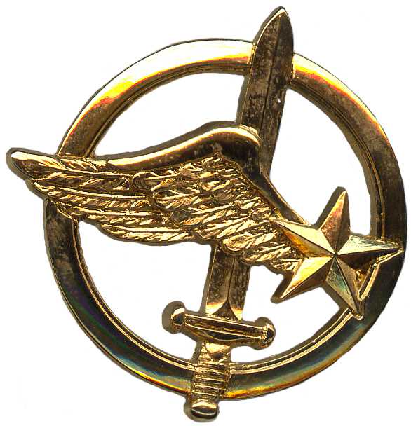 Эмблема на берет командос армейской авиации ВС Франции