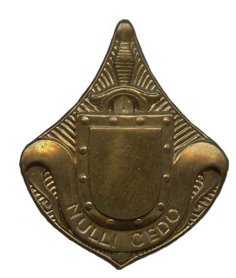 Петличная эмблема пехотных частей Королевских сухопутных сил Нидерландов