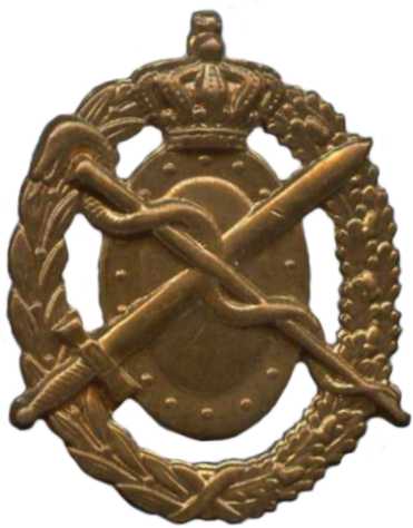 Петличная эмблема медицинской службы Королевских сухопутных сил Нидерландов