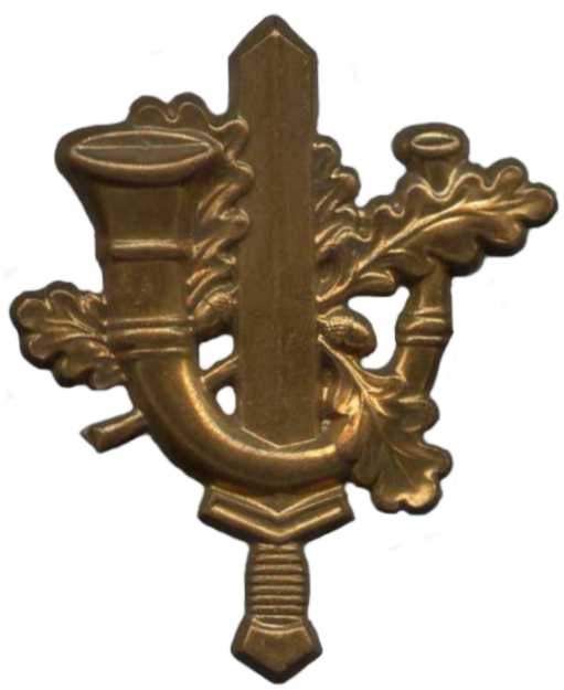 Петличная эмблема Лимбургского егерьского полка Королевских сухопутных сил Нидерландов