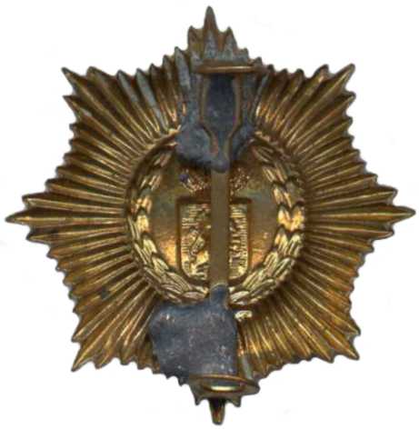 Петличная эмблема аэромобильного полка 
