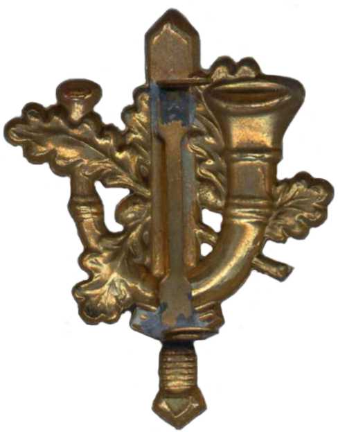 Петличная эмблема Лимбургского егерьского полка Королевских сухопутных сил Нидерландов