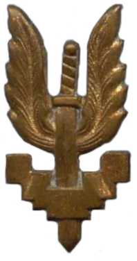 Петличная эмблема 1-го парашютно-десантного батальона коммандос Королевских ВС Бельгии