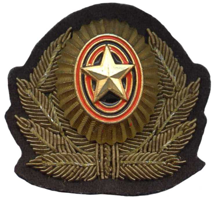 Кокарда офицерская для повседневной формы Вооруженные силы РФ