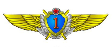 Нагрудный квалификационный знак военного летчика 1-го класса ВВС Республики Беларусь