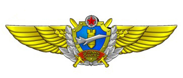 Нагрудный квалификационный знак военного штурмана-снайпера ВВС Республики Беларусь