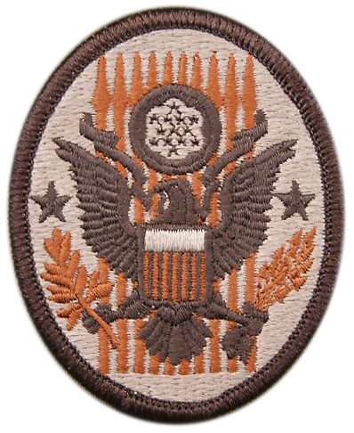 National Guard Civil Suppport Teams Patch
