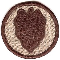 Нарукавный знак 24 пехотной дивизии СВ США