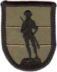 Нарукавный знак учебных заведений национальной гвардии СВ США