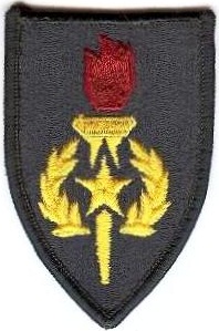 Нарукавный знак академии старшего сержантского состава СВ США