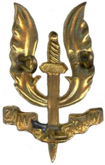 Кокарда знак 1-го парашютно-десантного батальона коммандос Королевских ВС Бельгии