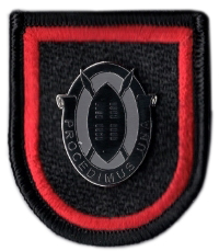 US Army Beret Flash Special Operations Command, Africa (U.S. Army Element)