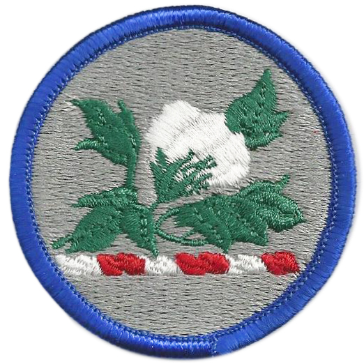 Нарукавный знак Объединенного штаба Национальной гвардии США штата Алабама