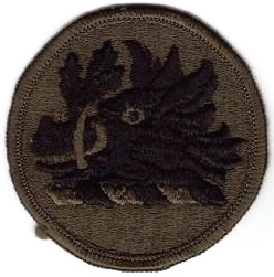 Georgia Army National Guard Subdued Patch